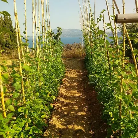 Emily's Paradise * פראליה קימיס