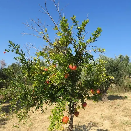 Emily's Paradise בית כפרי *
